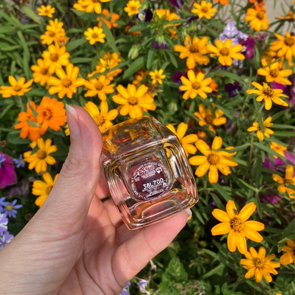 Genuine & Authentic Giorgio Armani Si Sephora Luxury Old Money Floral $100.00 - Picture 4 of 8